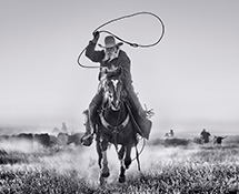 Photograph by David Yarrow available from Samuel Lynne Galleries in Dallas, TX, December 2024, 120524