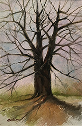 Tree painting by Jim Faulkner available from Gordy Fine Art and Framing in Muncie, Indiana, December 2024, 121924