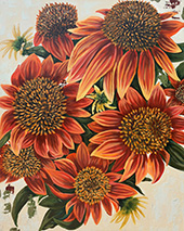 Sunflower painting by Laura Mrazik available from Portland Art Gallery in Portland, Maine, 120724