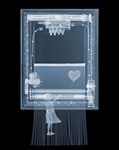 Artwork by Nick Veasey on exhibition at Laura Rathe Fine Art in Houston, Texas, November 9 - December 9, 2024, 112124