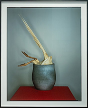 Color photograph by Kayhan on exhibition at Chung 24 Gallery in San Francisco, May 14 - June 28, 2025, 051525