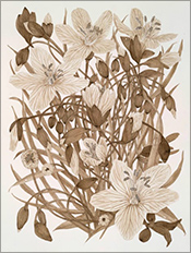 Botanical study by Margot Glass on exhibition at Kenise Barnes Fine Art in Kent, Connecticut, August 2 - September 7, 2025, 081025