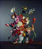 Color photograph by Richard Learoyd on exhibition at Fraenkel Gallery in San Francisco, May 29 - August 9, 2025, 072025