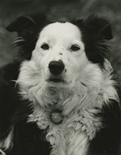 Black and white photograph by Yamamoto Masao on exhibition at PDX Contemporary Art in Portland, OR, March 2025, 080325