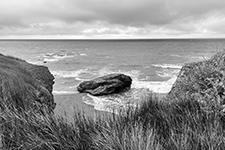 Isabelle Perreau black and white photographs in Nature—Refuge at Archway Gallery in Houston Texas March 7 to April 2 2026, 030526