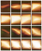 Moira McDonald photography on exhibition at Chung 24 Gallery in San Francisco March 4 to April 25 2026 030626