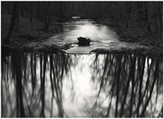 Paul Caponigro photograph in Learning Curve Threads of Influence at The Carl Cherry Center Carmel California March 27 to May 20 2026