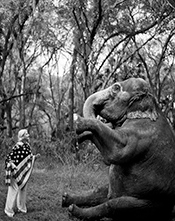 Bruce Weber photograph in Try a Little Tenderness at Fahey Klein Gallery in Los Angeles April 9 to June 6 2026