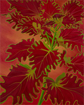 Janet Alling in Summertime – From the Garden at Seven Sisters gallery in Houston Texas March 14 to May 16 2026