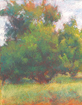 Sabrina Stiles pastel on paper in Drawn from the Land at Ann Korologos Gallery in Basalt Colorado April 15 to May 12, 2026