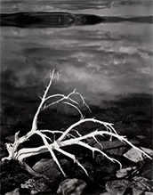 Ansel Adams photograph in Private Collections Salon and Sale at Jackson Fine Art in Atlanta Georgia July 25 to October 10 2026