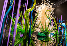 Dale Chihuly glass art in CHIHULY: Meijer Gardens at Meijer Gardens amd Sculpture Park in Grand Rapids Michigan through January 10 2027