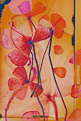 Dornith Doherty art on paper in HomeGoods at Moody Gallery in Houston Texas September 12 - October 24 2026
