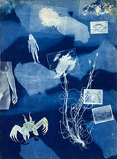 Sheila Pinkel cyanotype print in Early Works 1974 - 1977 at Higher Pictures gallery in Brooklyn New York April 22 to June 27 2026