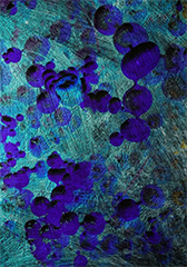 Volker Hamann painting in exhibition at Chase Young Gallery in Boston Massachusetts September 1 to October 15 2026