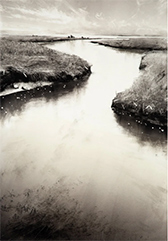 Wendy Orville monotype in Faraway Nearby at Harris Harvey Gallery in Seattle Washington July 2 to August 1 2026