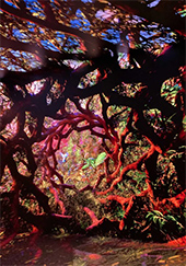 Refik Anadol AI generated artwork in Machine Dreams: Rainforest at Dataland in Los Angeles through January 31 2027