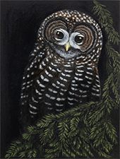 Tony Angell hand colored lithograph in In Company at Foster White Gallery in Seattle Washington November 5 to 21 2026